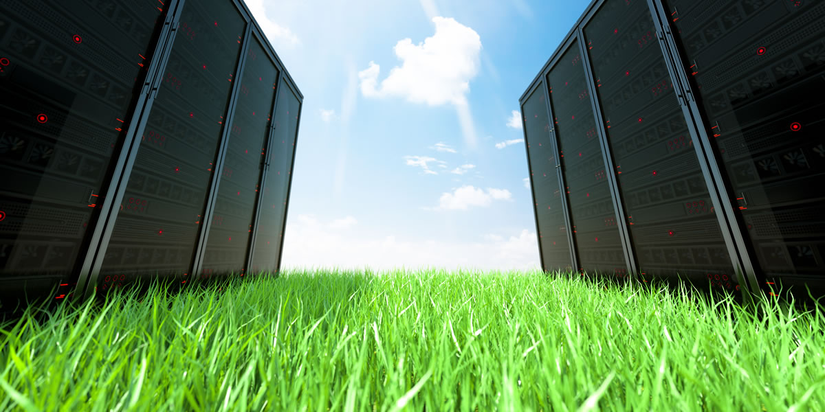 Website Hosting