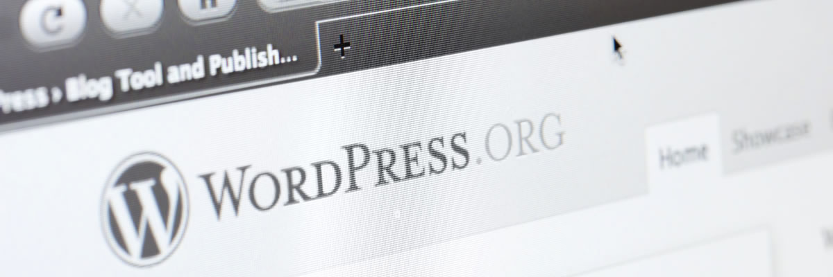 WordPress Maintenance & WordPress Support